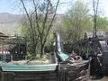 Log Flume